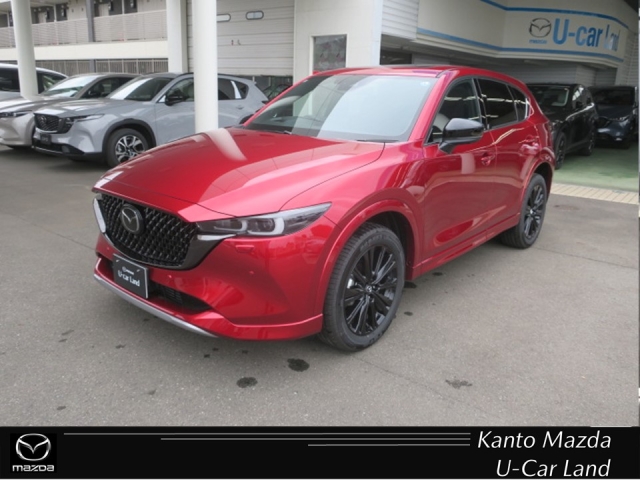 新着中古車