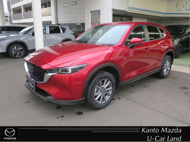 新着中古車