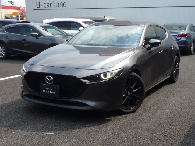 新着中古車