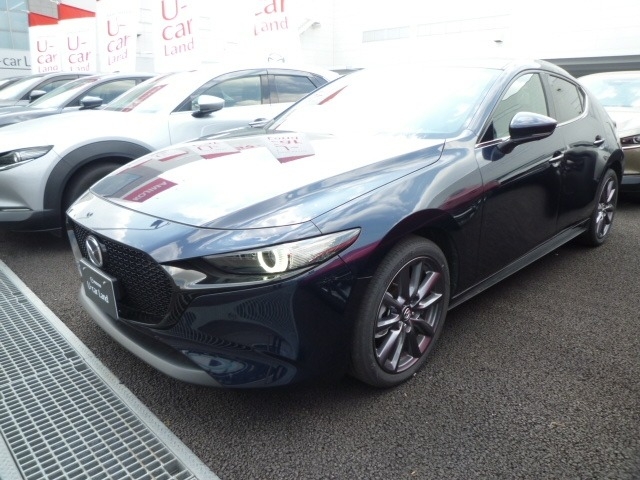 新着中古車