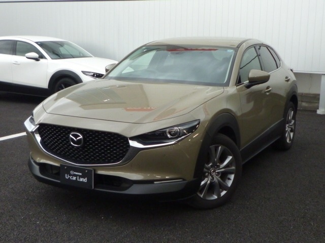 新着中古車