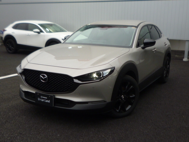 新着中古車