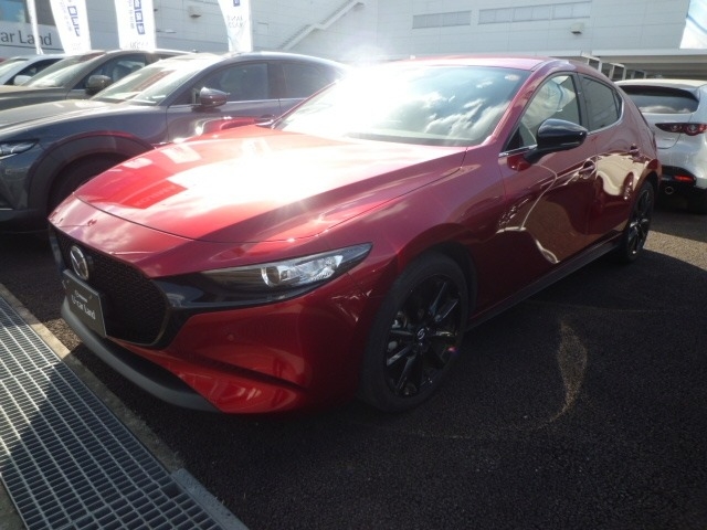 新着中古車