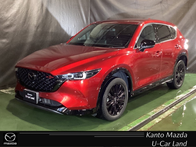 新着中古車