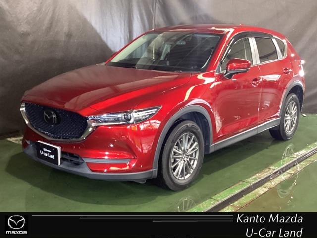 新着中古車