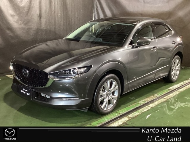 CX-30 2.0 20S プロアクティブ