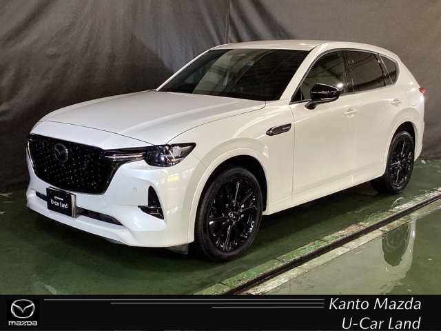新着中古車