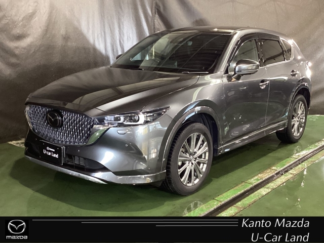 新着中古車