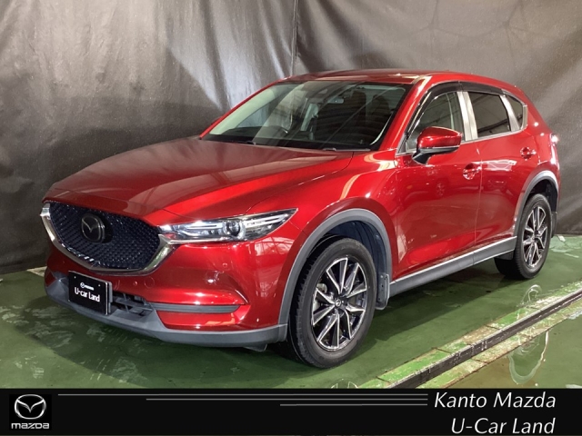 新着中古車