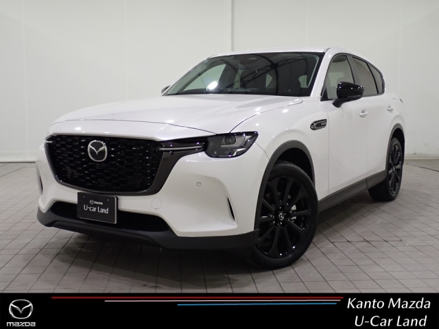 新着中古車