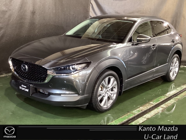 CX-30 2.0 20S Lパッケージ