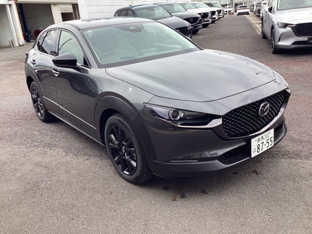 新着中古車
