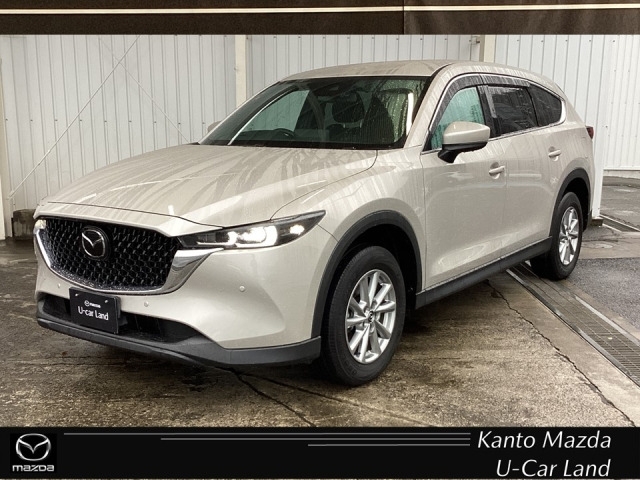 新着中古車