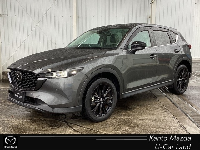 新着中古車