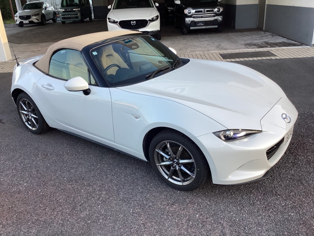 新着中古車