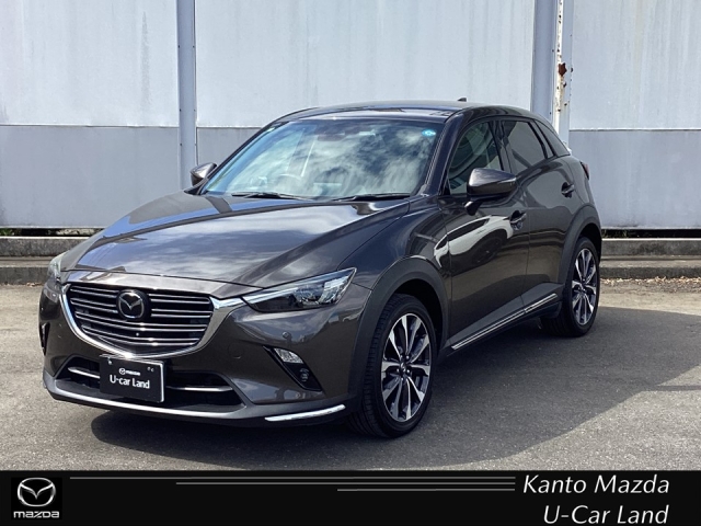 新着中古車