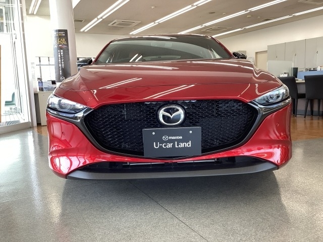 新着中古車