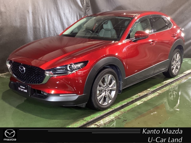 新着中古車
