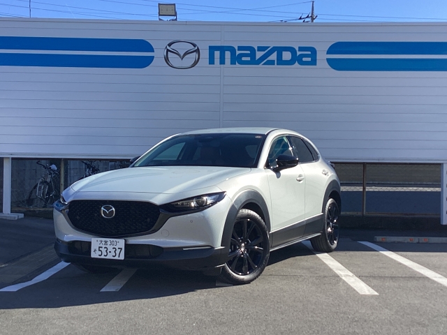 新着中古車